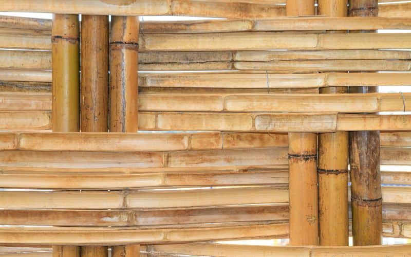 Interwoven bamboo poles forming a wall.