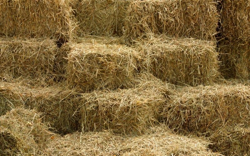 A stack of straw bales.