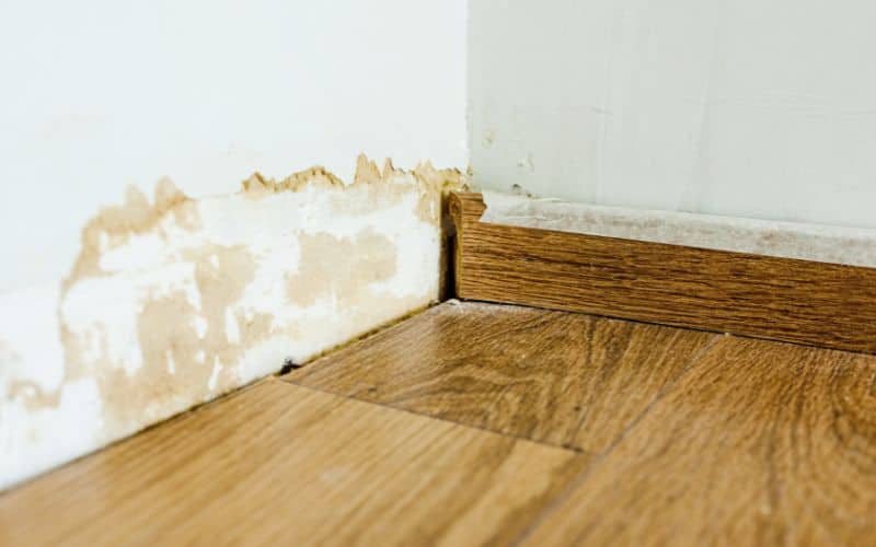 Moisture damage on a straw bale wall causing discoloration behind and above the skirting boards.