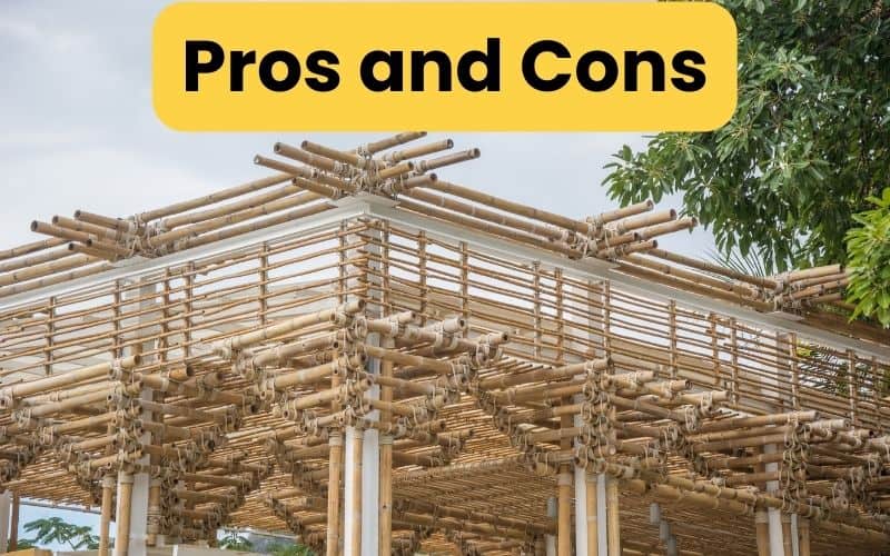 A bamboo building under construction with the words "pros and cons" overlain.