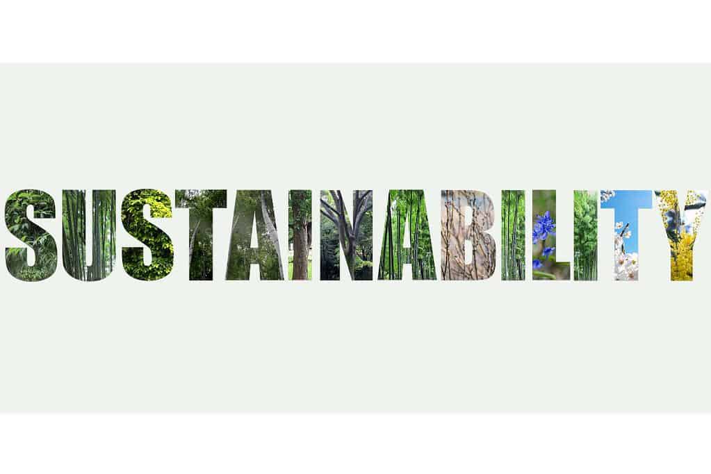 Images of sustainable building materials cut into the shapes of letters which are then used to spell the word "sustainability."