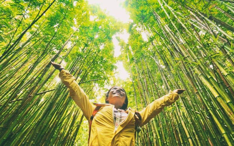 A woman with outstretched arms grinning and standing in a sustainable bamboo grove.