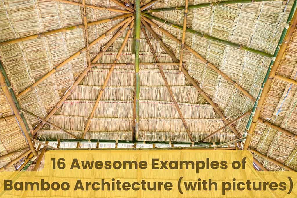 A large bamboo roof, viewed from below on the inside of the building. Along the bottom are the words "16 Awesome Examples of Bamboo Architecture (with pictures)"