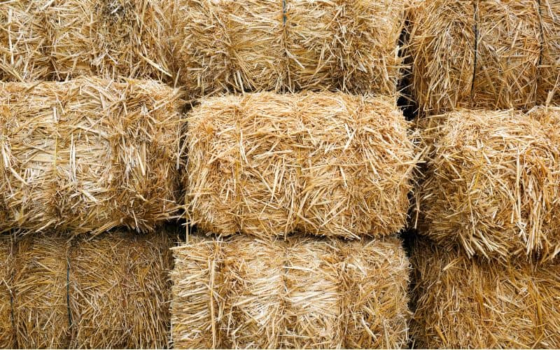 A stack of straw bales held together with binder twine.