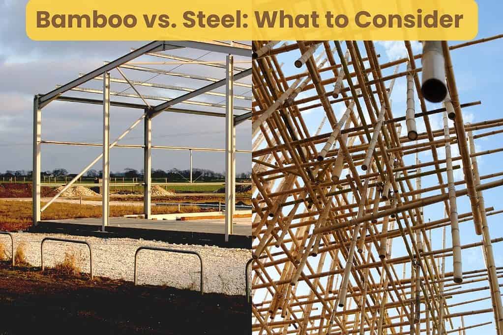 An image showing a steel frame for a building on the left hand side, and a bamboo frame on the right hand side. Across the top are the words "Bamboo vs. Steel: What to Consider," written in brown letters with a yellow background.