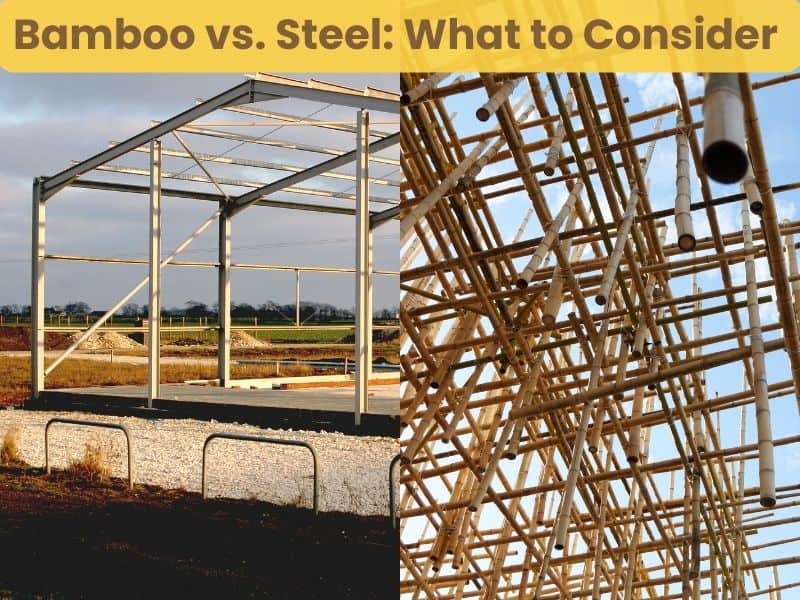 An image showing a steel frame for a building on the left hand side, and a bamboo frame on the right hand side. Across the top are the words "Bamboo vs. Steel: What to Consider," written in brown letters with a yellow background.