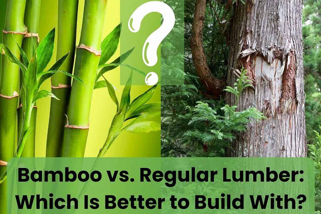 A picture of bamboo plants on the left half of the image and a cedar tree on the right. Across the bottom, the title "Bamboo vs. Regular Lumber: Which Is Better to Build With?" is written. At the top is a white question mark.