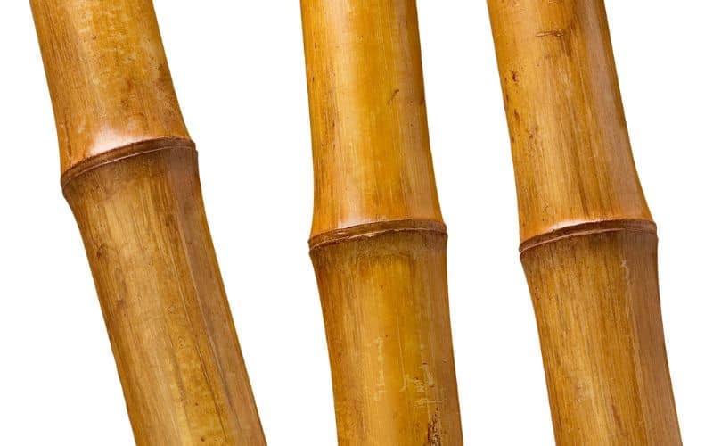 Three visually appealing bamboo poles. The poles are dark brown and the texture and nodes are clearly visible.