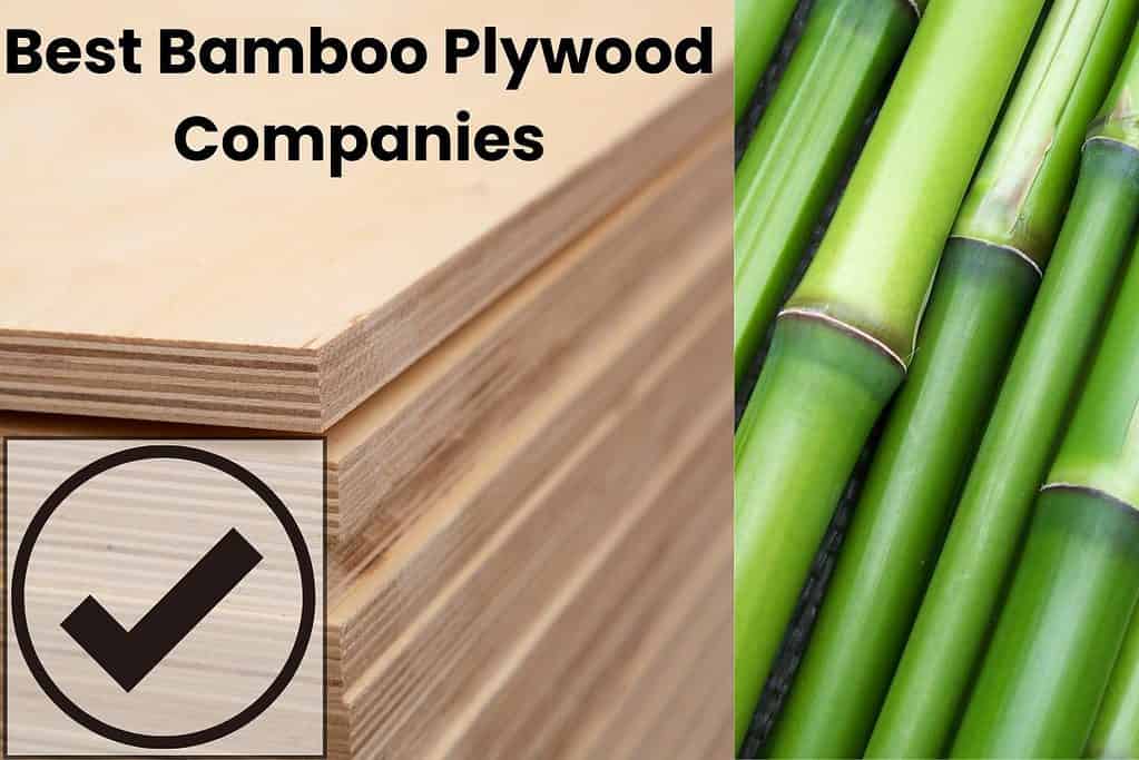 An image showing a stack of bamboo plywood on the left hand side with the words "Best Bamboo Plywood Companies" written on top. There is also a black tick in a circle in front of the plywood. The right hand side of the image shows green bamboo culms, stacked at an angle.