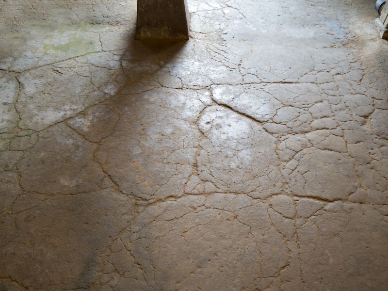 An earthen floor with interesting cracks forming an irregular pattern. The floor is still intact and wooden pillars are visible resting on the floor surface.