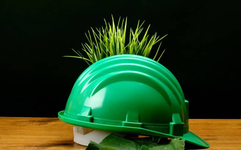 A green hardhat on a table with green leaves around it to indicate eco-friendliness.