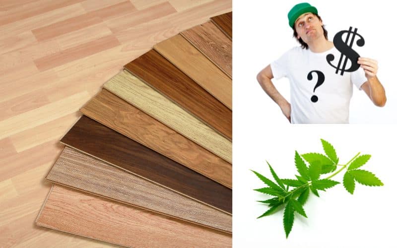 Hemp wood flooring with flooring plank samples spread out in a fan. Image of a hemp plant and a man wearing a T-shirt with a question mark and a dollar sign printed on it are overlain to suggest a question about how much the hemp wood flooring costs.