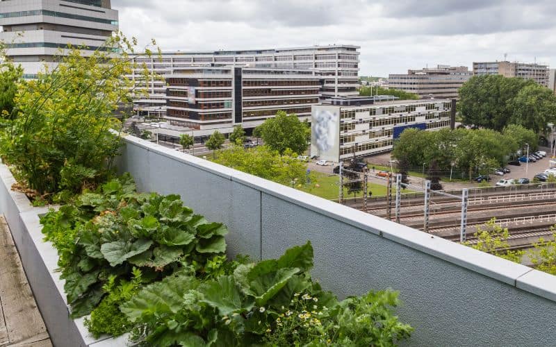 A green roof on top of a high rise building in a city.