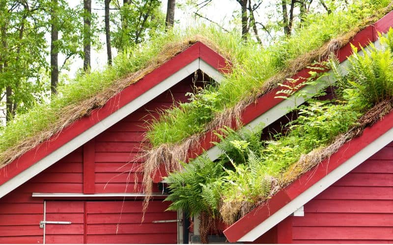 Red wooden buildings viewed from the gable end with green roofs.