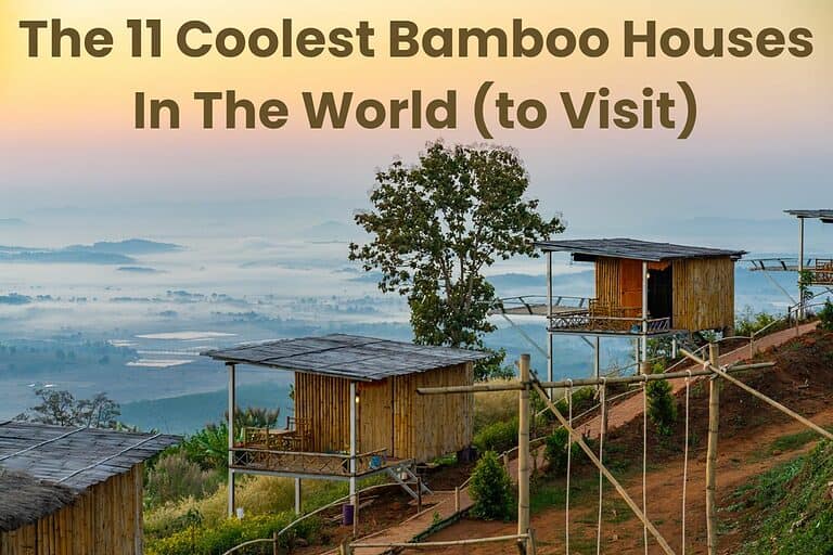 A row of bamboo huts on stilts with pent roofs and a covered decking area that overlook a spectacular view of a misty plan below. Across the top are the words "The 11 Coolest Bamboo Houses In The World (to Visit)."