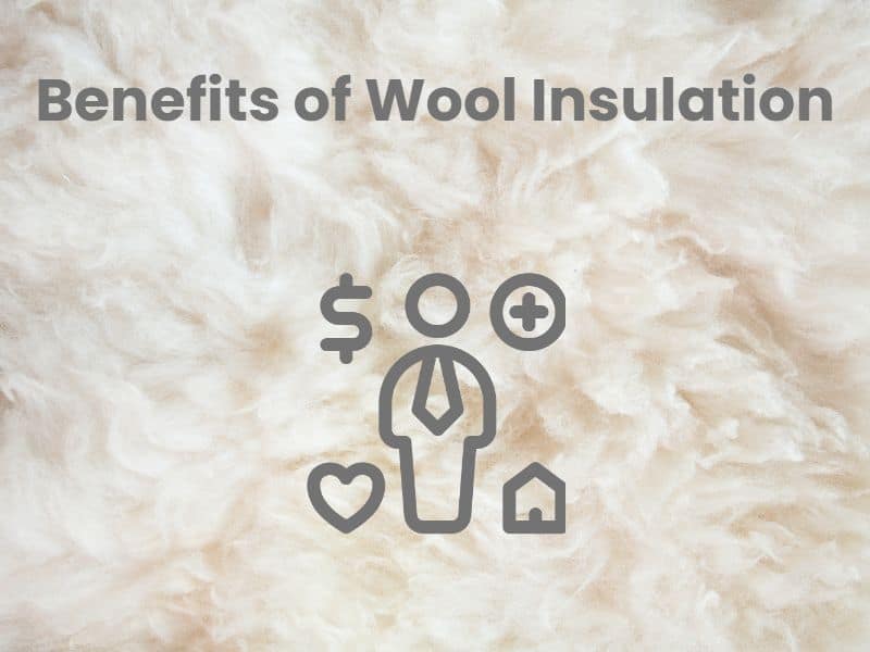 A sheep's wool fleece with an icon representing benefits in gray overlain. The benefits icon includes a dollar sign, a plus sign, a heart, and a home. Across the top are the words "Benefits of Wool Insulation."