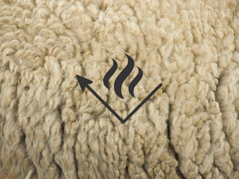 A photograph of sheep's wool with a symbol indicating fire resistance with an arrow and some stylized flames.