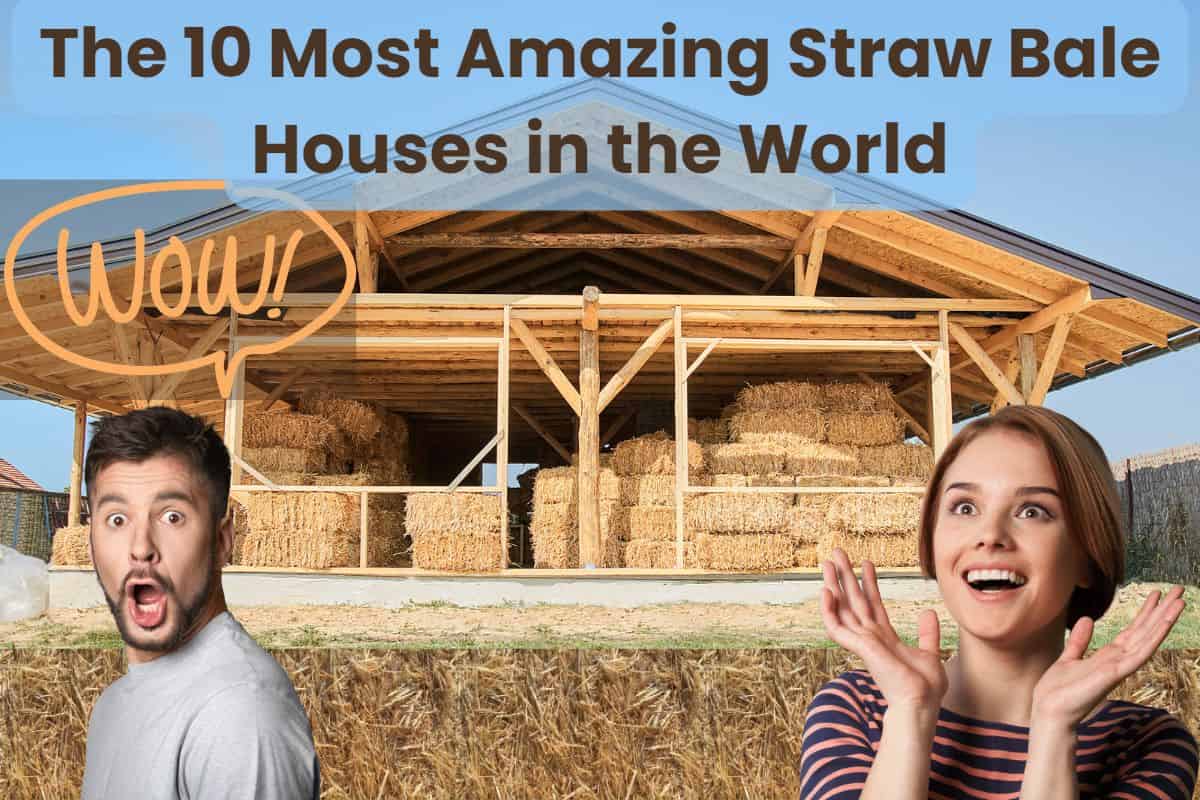 A photograph of a straw bale house being built. The frame is completed and the roof is on but the walls have yet to be filled with straw bales. There are photos of a man and a woman looking amazed with a "wow" speech bubble above the man, who is on the left. There is also a row of straw bales along the bottom of the image and the words "The 10 Most Amazing Straw Bale Houses in the World" across the top of the image.