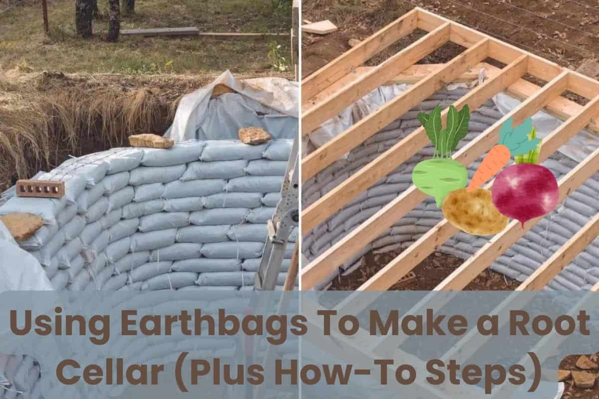 Two photographs side-by-side showing an earthbag root cellar at different stages of construction. The image on the right has the roof frame in position and some cartoon root vegetables overlain to create the impression of produce storage. The words "Using Earthbags To Make a Root Cellar (Plus How-To Steps)" are written along the bottom of the image.