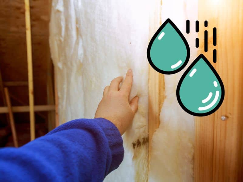 A person's arm in a blue sweater reaching out to touch sheep's wool insulation that is installed in a wall. There are a couple of cartoon drops of water to indicate wetness.