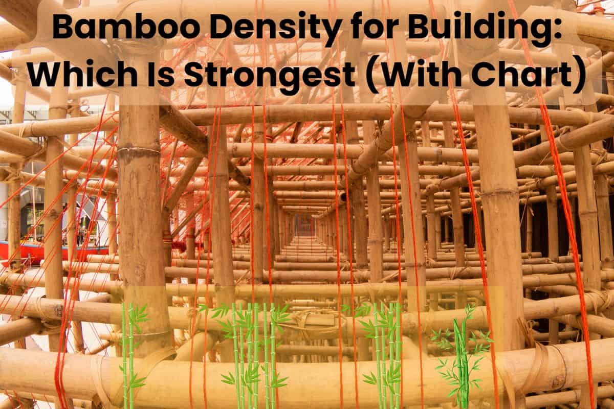 A bamboo framework held together with bamboo lashings. Most of the bamboo members are at right angles to each other, forming a square lattice. There are occasional rows of diagonal members to provide rigidity. There are also many lines of red cord running down vertically. The words "Bamboo Density for Building: Which Is Strongest (With Chart)" are written across the top of the image.