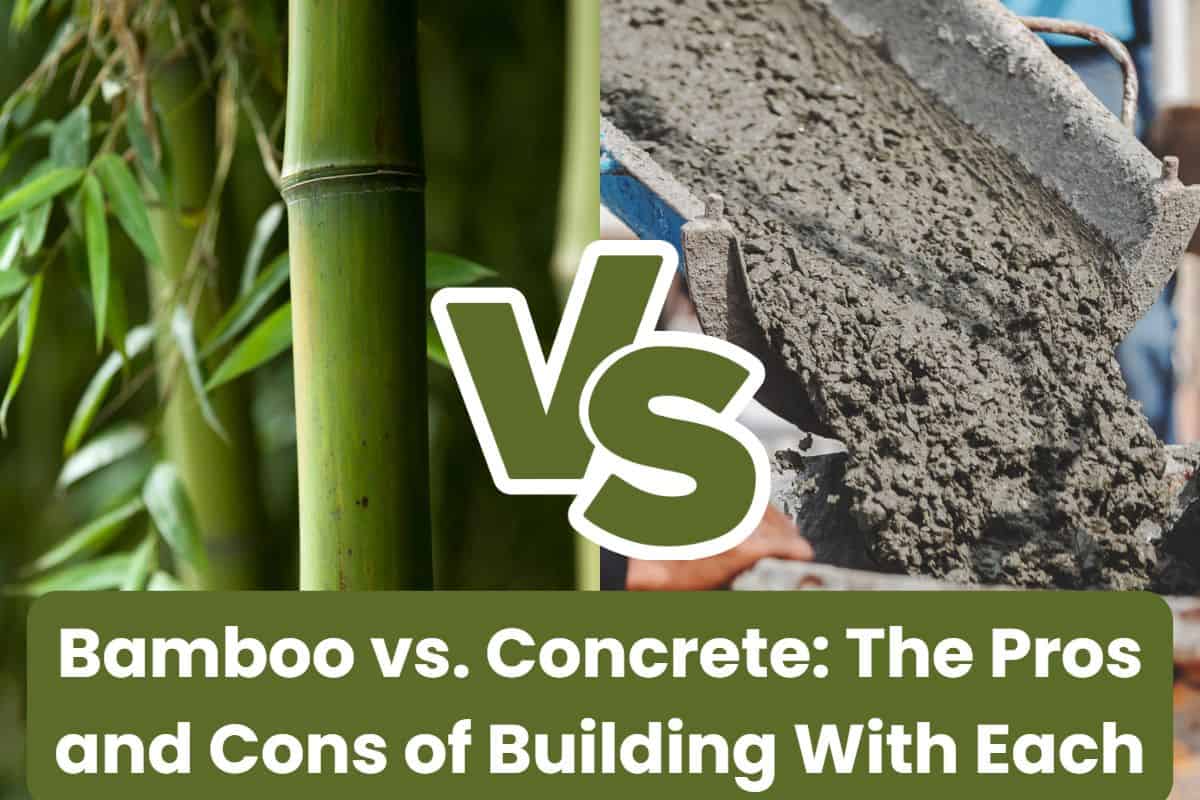 A photograph of green bamboo culms with leaves on them on the left of the image, and a photo of a concrete chute pouring concrete from a concrete truck on a building site on the right of the image. The words "Bamboo vs. Concrete: The Pros and Cons of Building With Each" are written across the bottom in white letters with a green background. There are the letters "VS" in green with white outlines in the center of the image.