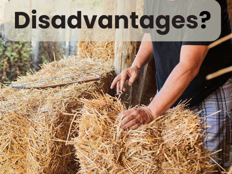 A person installing straw bales in a wall. The word "Disadvantages?" is written across the top.