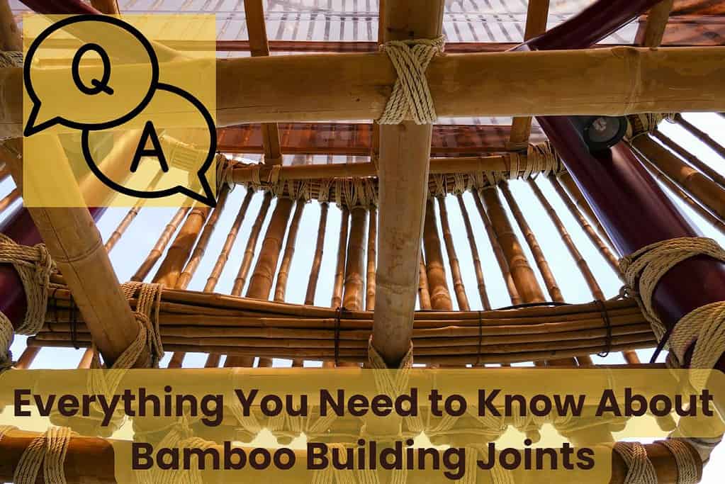 A complex bamboo structure with many individual members, mainly held together with lashings. Across the bottom of the image are the words "Everything You Need to Know About Bamboo Building Joints" written in dark brown on a semi-transparent yellow background. In the top left corner is a "Q&A" icon with the letters in speech bubbles.