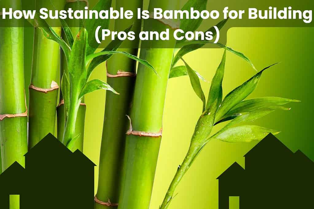 A photograph of green bamboo plants on a green background. The words "How Sustainable Is Bamboo for Building (Pros and Cons)" are written across the top. In the bottom left and right corners are silhouettes of houses.