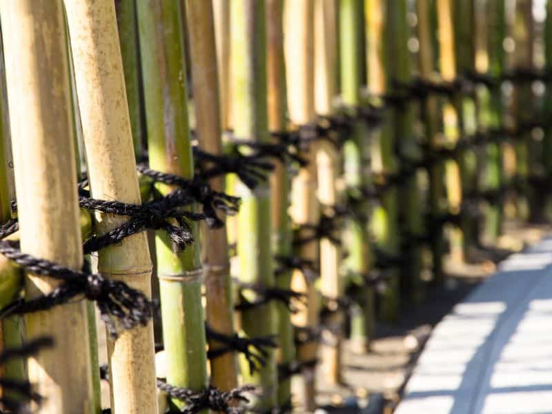 A row of traditional lashing joints used to hold vertical bamboo poles to horizontal bamboo railings. The structure acts as a safety barrier on a bridge.