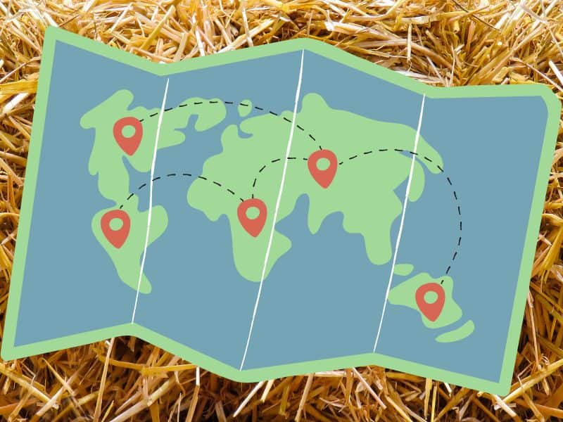 A drawing of a world map with pins placed on continents and dotted lines joining them. The background of the image is a straw bale.