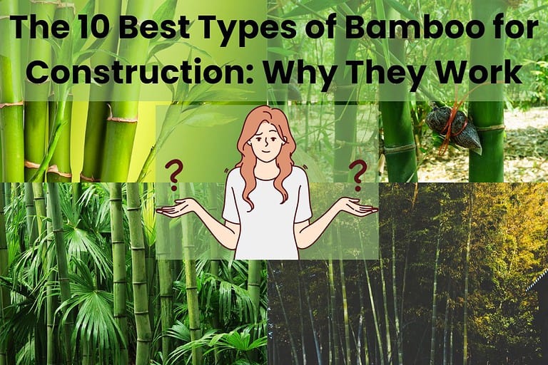 A collage of different types of bamboo with a cartoon person in the middle of the image shrugging with question marks either side. The words "The 10 Best Types of Bamboo for Construction: Why They Work" are written across the top.