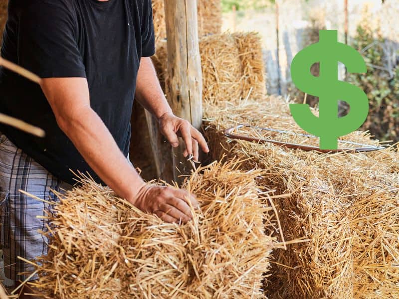 A photograph of a worker cutting straw bales to fit inside a post-and-beam frame. There is a saw lying on one of the bales and a dollar sign in green in the top right corner of the image.