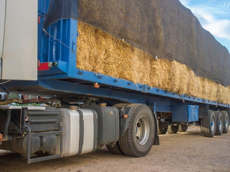 A large truck loaded with straw bales. The trailer bed is blue and there is a net over the top of the bales to hold them in position.