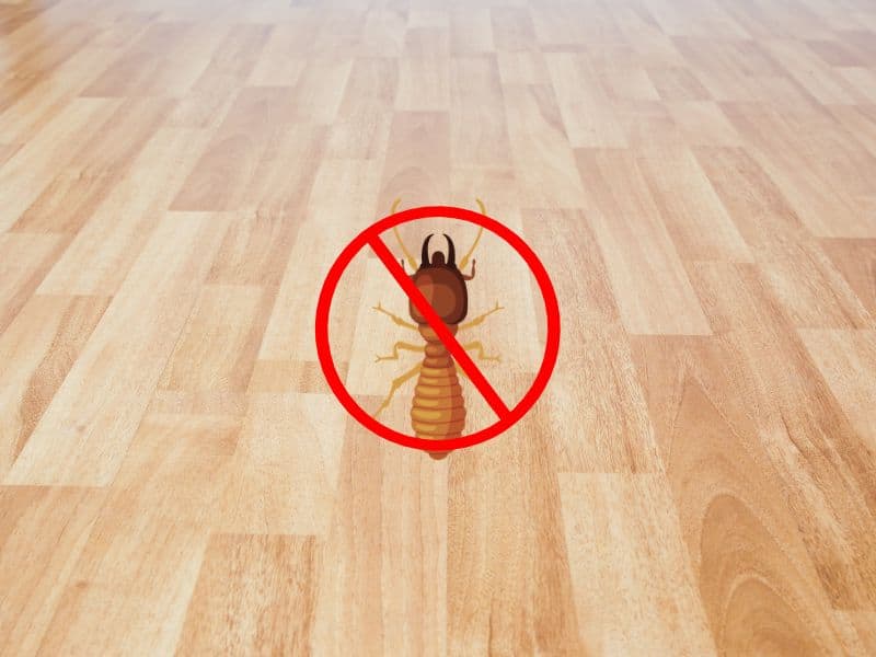 A light brown engineered wood floor with the planks extending away from the camera lengthways. Overlain in the center of the image is a cartoon termite with a red circle around it and a red line diagonally across it.