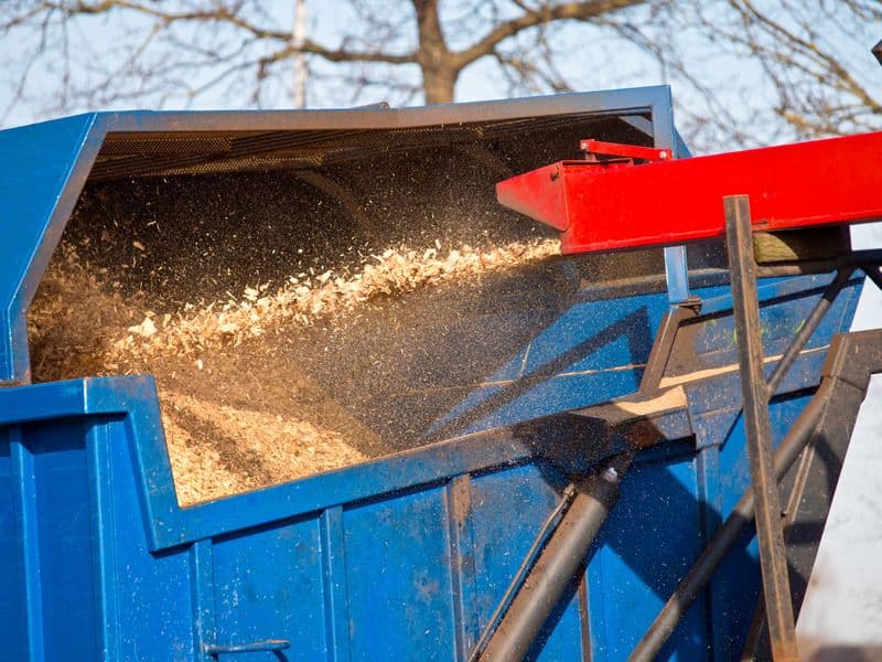 A wood chipper with a red chute blowing wood chippings into a blue skip.