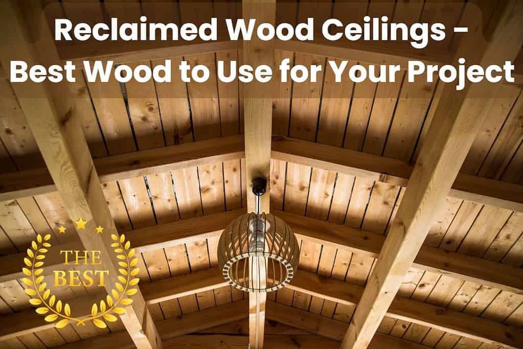 A vaulted reclaimed wood ceiling made from reclaimed Douglas fir. The light brown finish of the wood is natural, with knots and grain patterns clearly visible. Across the top are the words "Reclaimed Wood Ceilings - Best Wood to Use for Your Project." In the bottom left is a golden crest with golden branches and leaves forming a circle around the words "The Best."