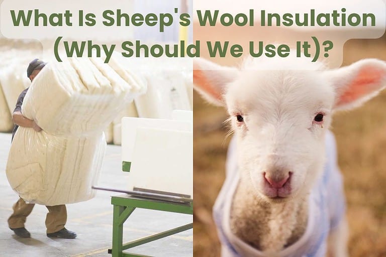 A photograph of a worker handling bundles of sheep's wool insulation in the factory, next to a second photo of a lamb in a field. Across the top of the image are the words, "What Is Sheep's Wool Insulation (Why Should We Use It)?"