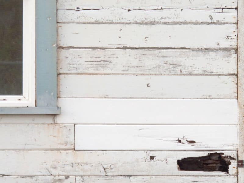 Wooden siding that was painted light blue many years ago. It has rotted and the paint is peeling off. The corner of a window is visible on the left of the image.