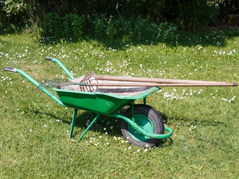 A green wheelbarrow parked on the grass with rakes on board.