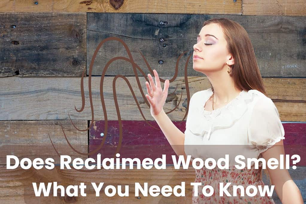 A woman is smelling the air next to a wall made from reclaimed wood. Wavy lines are overlain across the photo to indicate the smell emanating from the wood. Across the bottom of the image are the words, "Does Reclaimed Wood Smell? What You Need To Know."