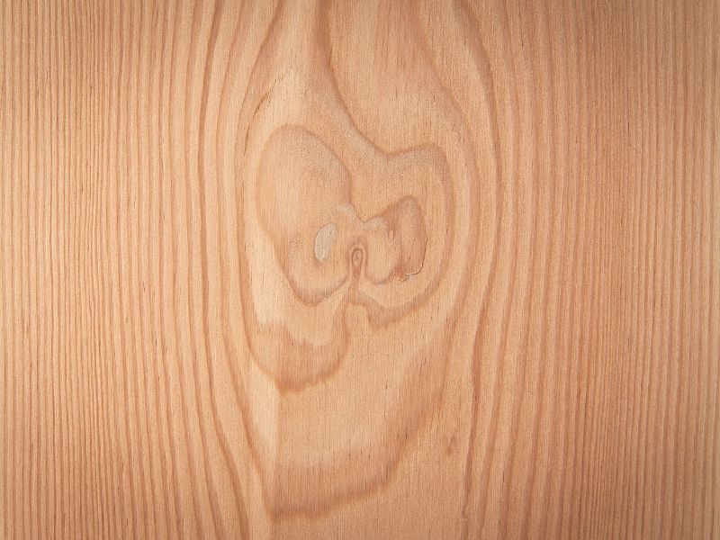 A photograph of a Douglas fir countertop. The wood is light yellow-brown and has a knot in it that adds character.