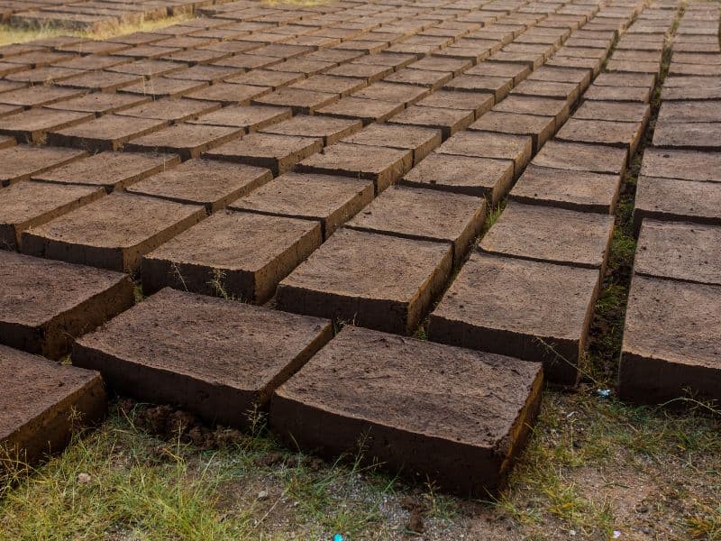 Rows of adobe bricks laid out to dry in neat rows on dry grass.