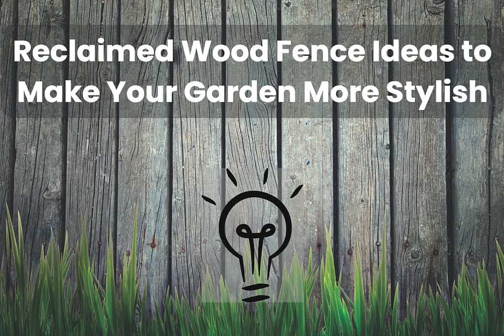 A reclaimed wood fence with grass growing against it. At the top of the image are the words "Reclaimed Wood Fence Ideas to Make Your Garden More Stylish," and in the bottom center is a stylized lightbulb.