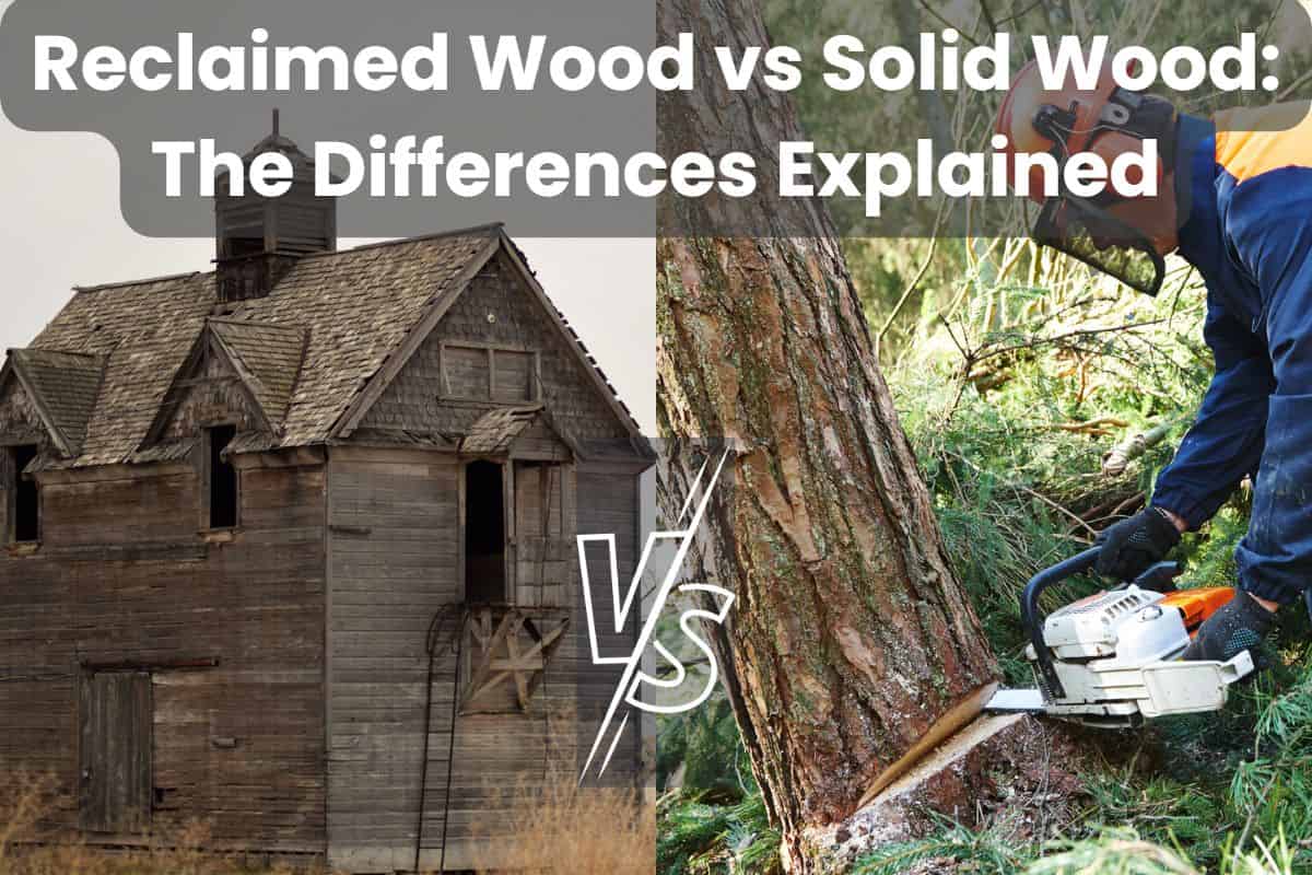 Two photographs side by side. The photograph on the left is of an old derelict barn from which reclaimed wood could be salvaged. The photograph on the right is of a lumberjack cutting down a tree with a chainsaw. Across the top are the words "Reclaimed Wood vs Solid Wood: The Differences Explained" in the lower center of the image are thee letters "VS."