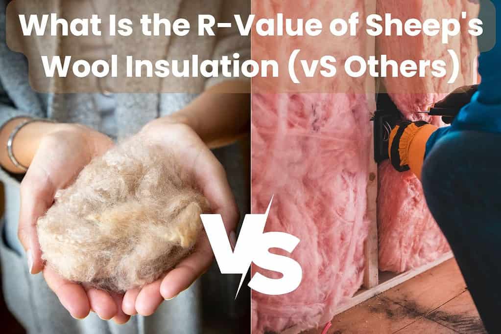 A photograph of a woman holding a piece of sheep's wool insulation on the left side of the image and a photograph of a worker installing batts of pink fiberglass insulation between wall studs on the right. Across the top of the image are the words, "What Is the R-Value of Sheep's Wool Insulation (vs. Others)" In the lower center of the image are the letters "VS.