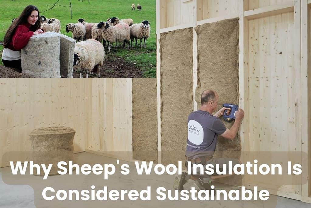 A photograph of a man crouching down installing sheep's wool insulation in a stud wall. An inset image in the top left shows a woman with rolls of sheep's wool insulation in a field of sheep. The words "Why Sheep's Wool Insulation Is Considered Sustainable" are written across the bottom of the image.