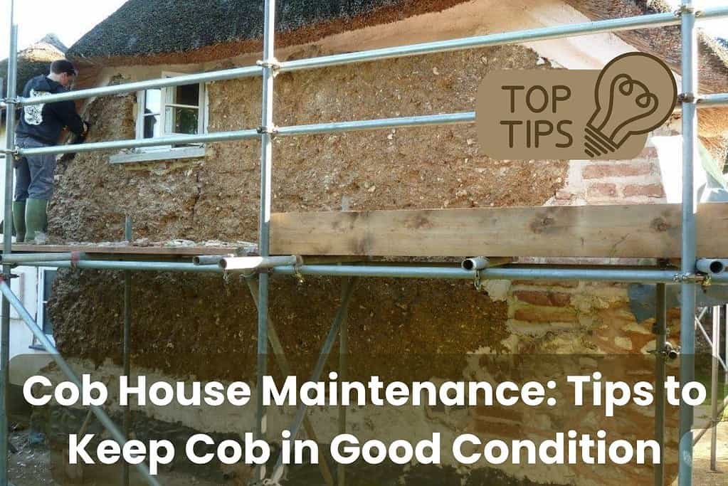 A cob wall is being maintained by a specialist cob builder working at height on scaffolding. The plaster has been stripped away from the wall revealing the bare cob beneath. The roof of the house is made from cob, and there is a small window near the top of the wall. The words, "Cob House Maintenance: Tips to Keep Cob in Good Condition" are written across the bottom of the image and an icon of a lightbulb says "TOP TIPS" in the top right.