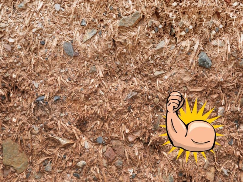 A closeup photograph of a cob wall with stones and straw visible on its surface. A cartoon arm flexed in the lower right corner shows a strong bicep with a golden star behind.