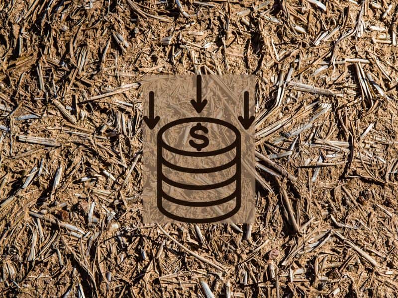 A closeup photograph of a cob wall with straw fibers on its surface. Overlain is a drawing of a stack of coins with a dollar sign and downward arrows.